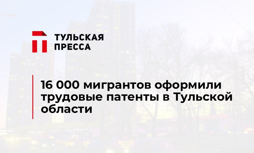 16 000 мигрантов оформили трудовые патенты в Тульской области