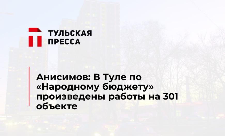 Анисимов: В Туле по "Народному бюджету" произведены работы на 301 объекте