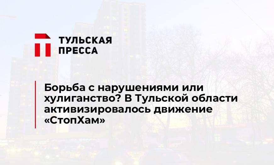 Борьба с нарушениями или хулиганство? В Тульской области активизировалось движение «СтопХам»