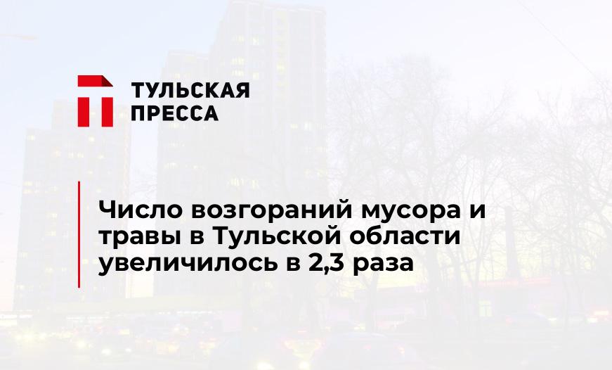 Число возгораний мусора и травы в Тульской области увеличилось в 2,3 раза