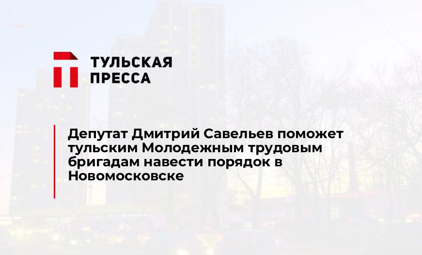 Депутат Дмитрий Савельев поможет тульским Молодежным трудовым бригадам навести порядок в Новомосковске