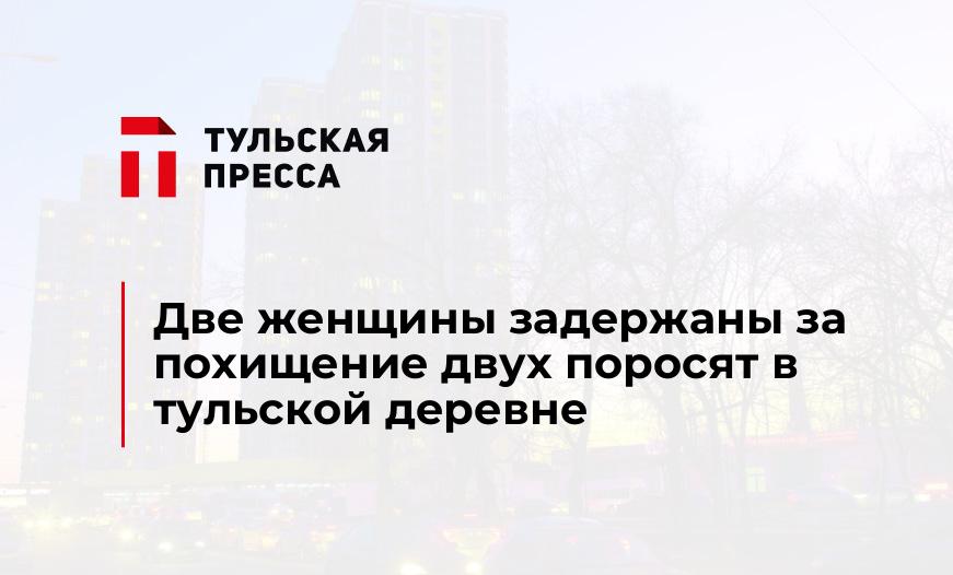 Две женщины задержаны за похищение двух поросят в тульской деревне 