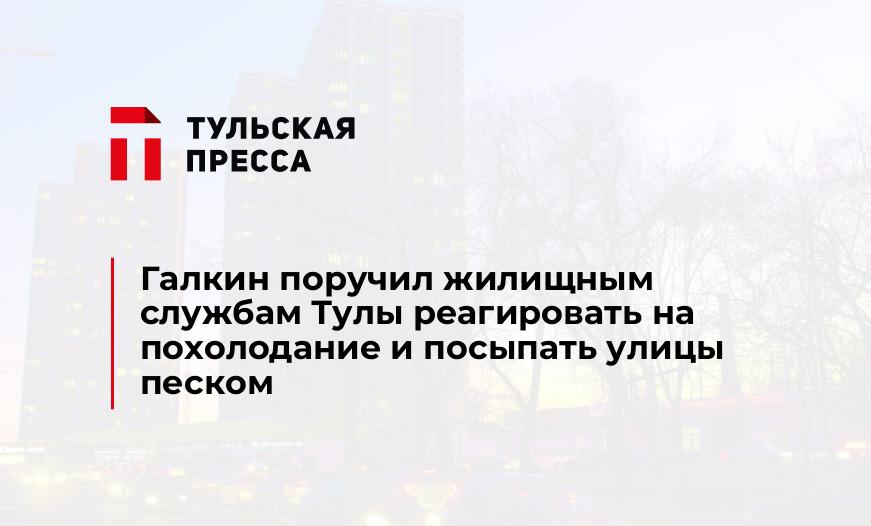 Галкин поручил жилищным службам Тулы реагировать на похолодание и посыпать улицы песком