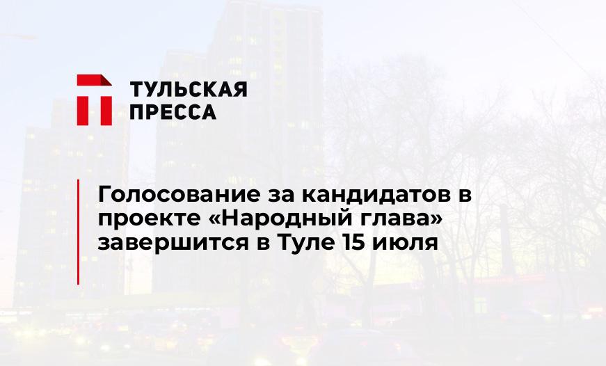 Голосование за кандидатов в проекте "Народный глава" завершится в Туле 15 июля