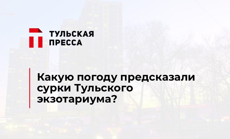 Какую погоду предсказали сурки Тульского экзотариума?