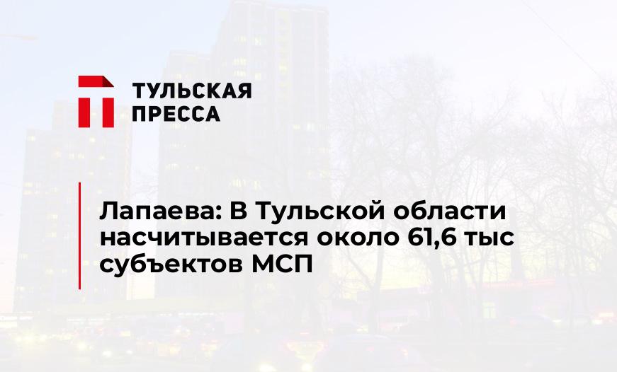 Лапаева: В Тульской области насчитывается около 61,6 тыс субъектов МСП