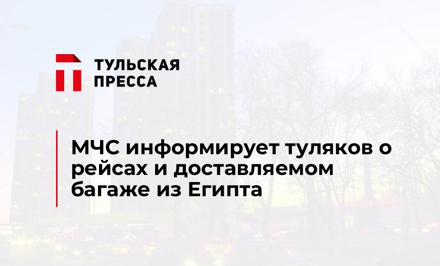 МЧС информирует туляков о рейсах и доставляемом багаже из Египта