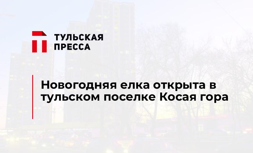 Новогодняя елка открыта в тульском поселке Косая гора