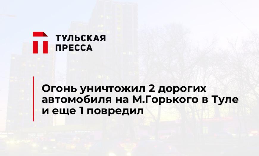 Огонь уничтожил 2 дорогих автомобиля на М.Горького в Туле и еще 1 повредил