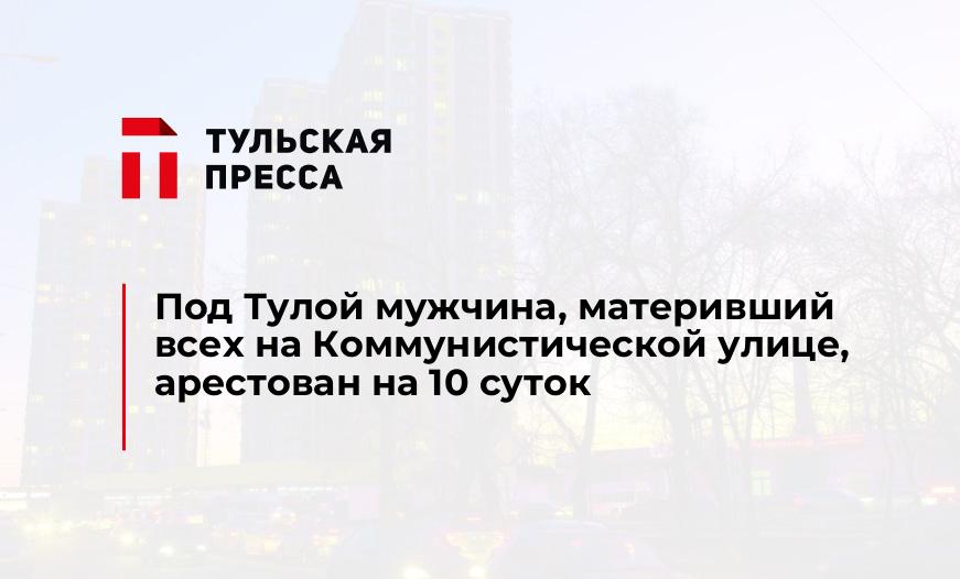 Под Тулой мужчина, материвший всех на Коммунистической улице, арестован на 10 суток