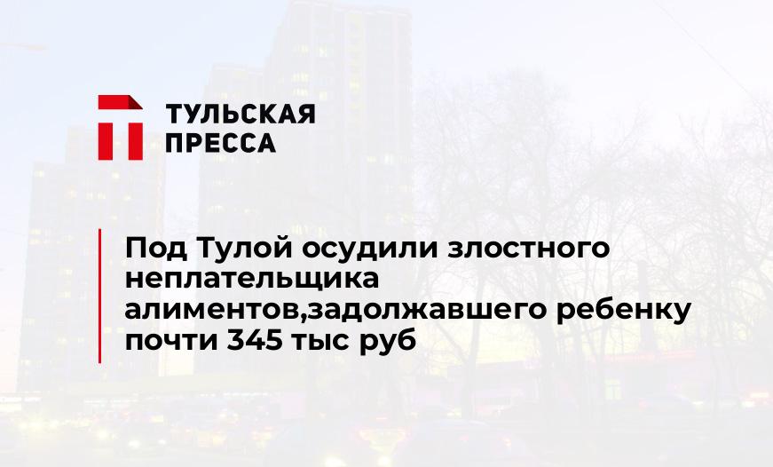 Под Тулой осудили злостного неплательщика алиментов,задолжавшего ребенку почти 345 тыс руб