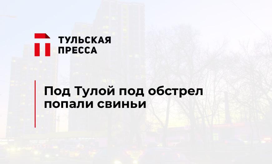 Под Тулой под обстрел попали свиньи