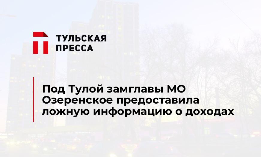 Под Тулой замглавы МО Озеренское предоставила ложную информацию о доходах