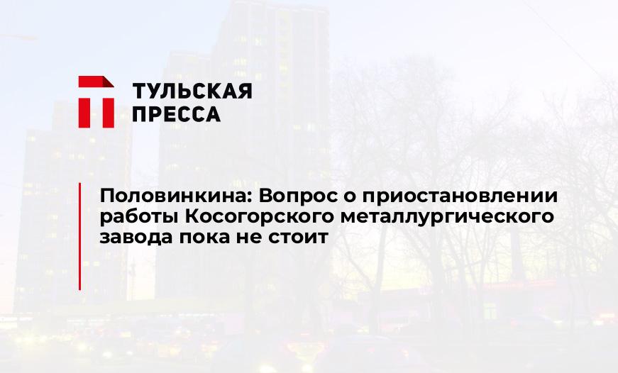 Половинкина: Вопрос о приостановлении работы Косогорского металлургического завода пока не стоит