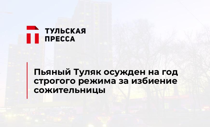 Пьяный Туляк осужден на год строгого режима за избиение сожительницы