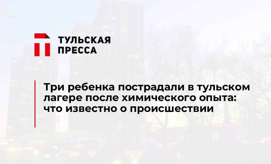 Три ребенка пострадали в тульском лагере после химического опыта: что известно о происшествии