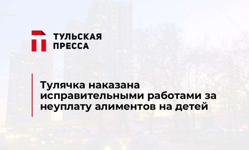 Тулячка наказана исправительными работами за неуплату алиментов на детей