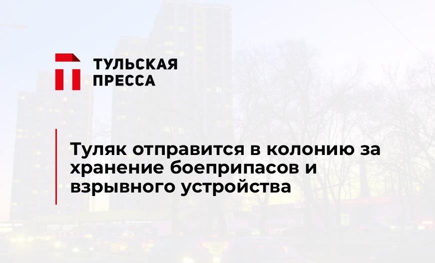 Туляк отправится в колонию за хранение боеприпасов и взрывного устройства