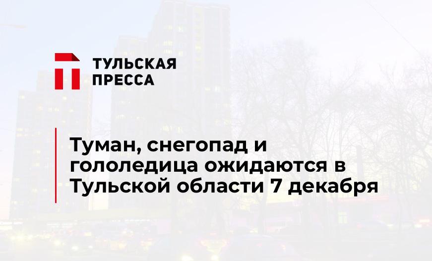 Туман, снегопад и гололедица ожидаются в Тульской области 7 декабря