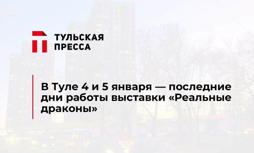 В Туле 4 и 5 января - последние дни работы выставки "Реальные драконы"