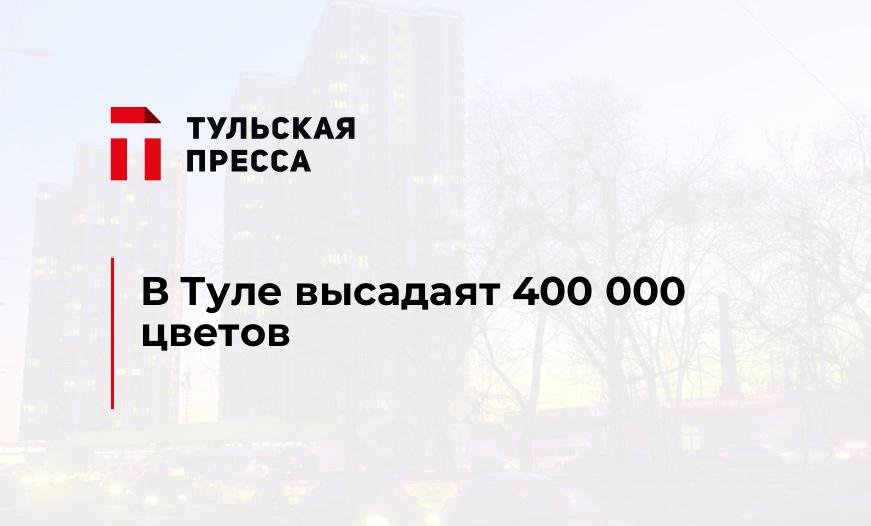 В Туле высадаят 400 000 цветов 