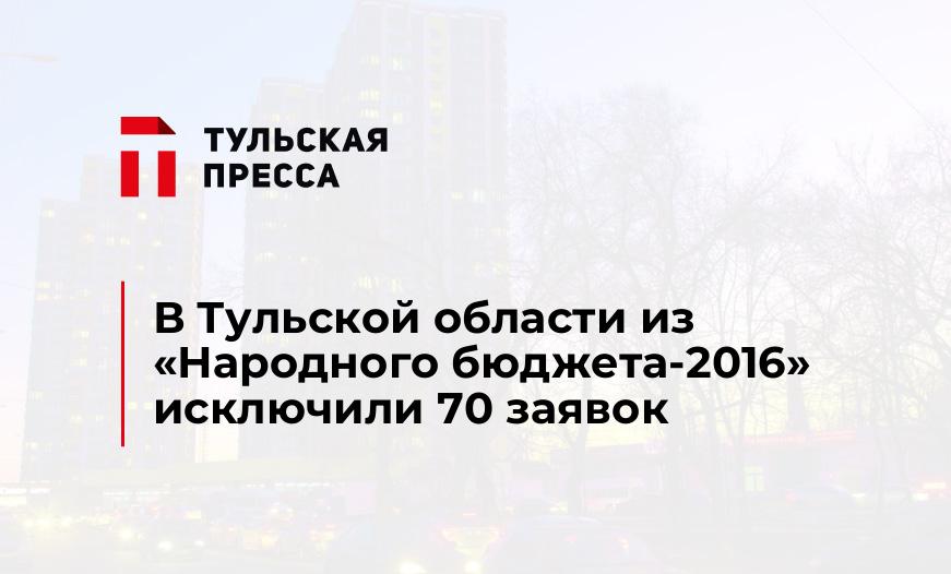 В Тульской области из "Народного бюджета-2016" исключили 70 заявок