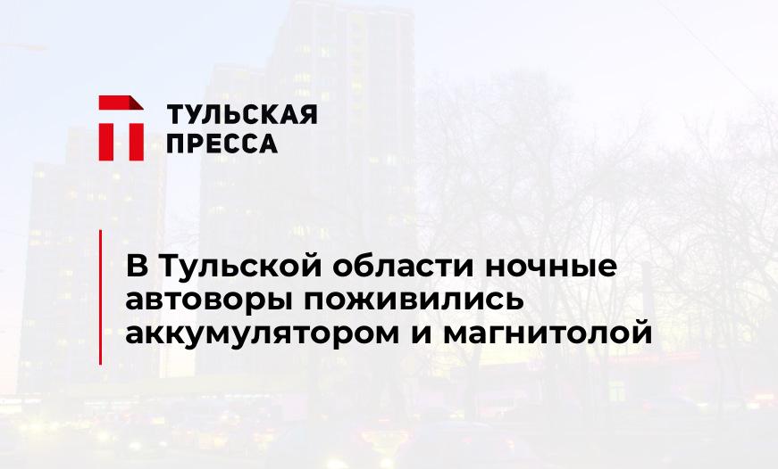 В Тульской области ночные автоворы поживились аккумулятором и магнитолой