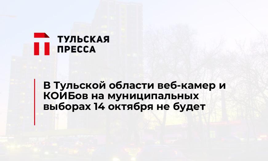 В Тульской области веб-камер и КОИБов на муниципальных выборах 14 октября не будет