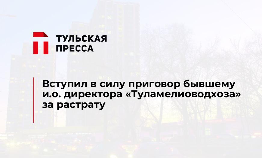 Вступил в силу приговор бывшему и.о. директора «Туламелиоводхоза» за растрату