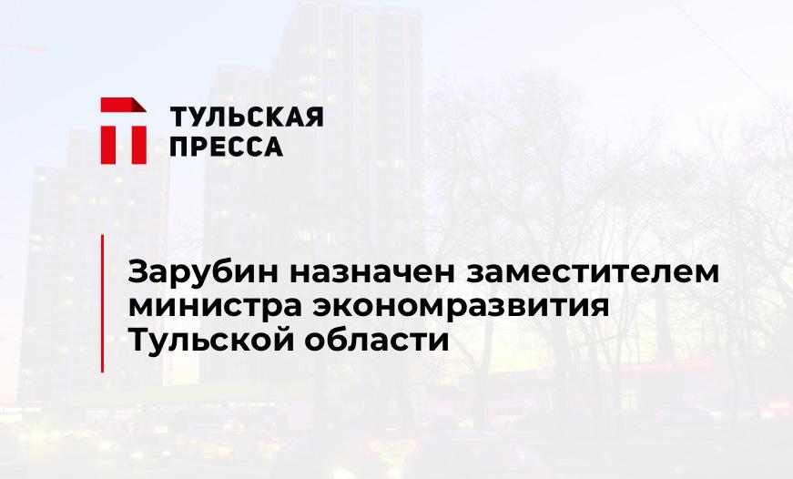 Зарубин назначен заместителем министра экономразвития Тульской области