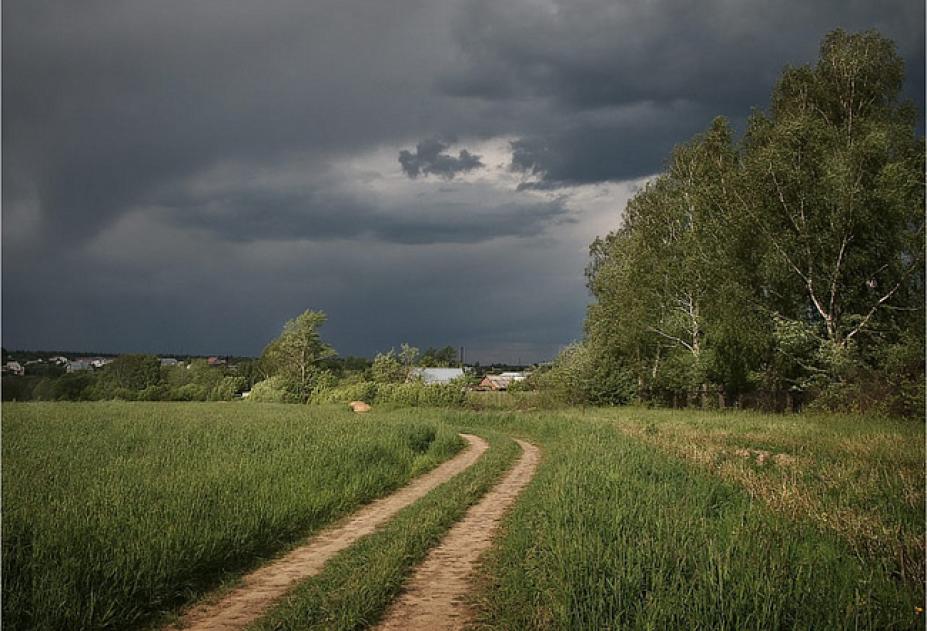 Фото в дождь в деревне