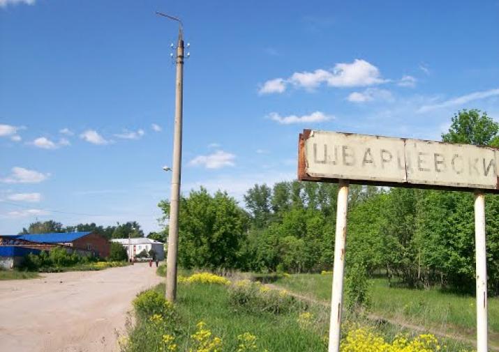 Шварцевский тульская область фото поселок