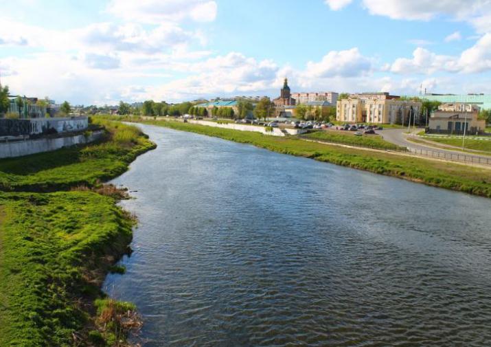 Селиваново тульской области фото