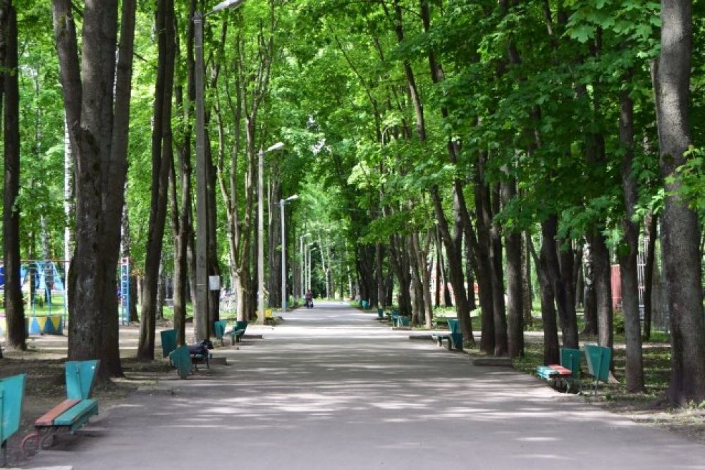 Сколько парков. Парк Машиностроителей Узловая. Парк железнодорожников Узловая. Парк в Узловой Тульской области. Узловая Тульской области парк Машиностроителей.