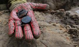 Стрижка и пуговичка: В Тульской области вместе с останками красноармейцев нашли женские кости
