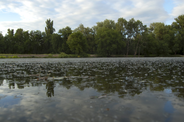 Бушевский пруд в туле фото