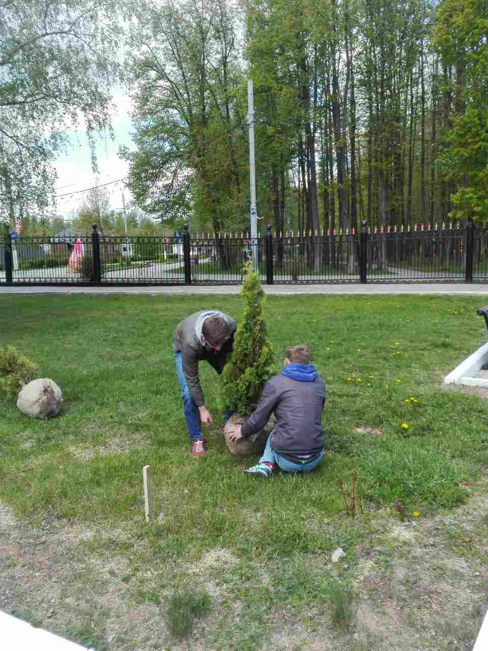 тульская клиническая больница. лесной бульвар протвино благоустройство. тула пересадка. сквер тульское чаепитие. г.