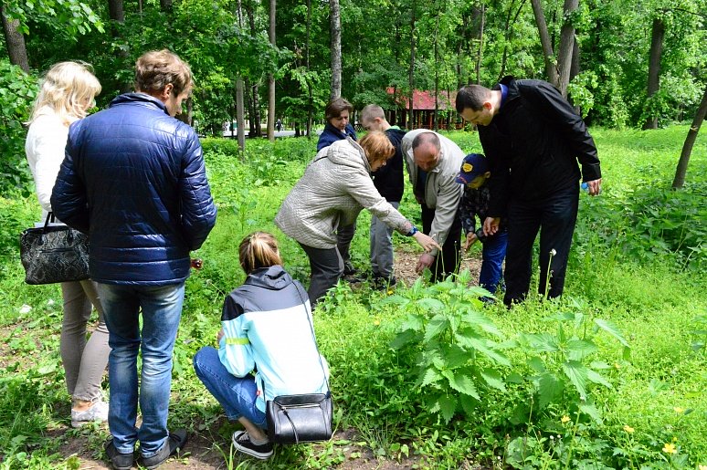 Экологическое просвещение. Экологическое образование населения. Экологическое Просвещение населения. Экологические мероприятия для населения.