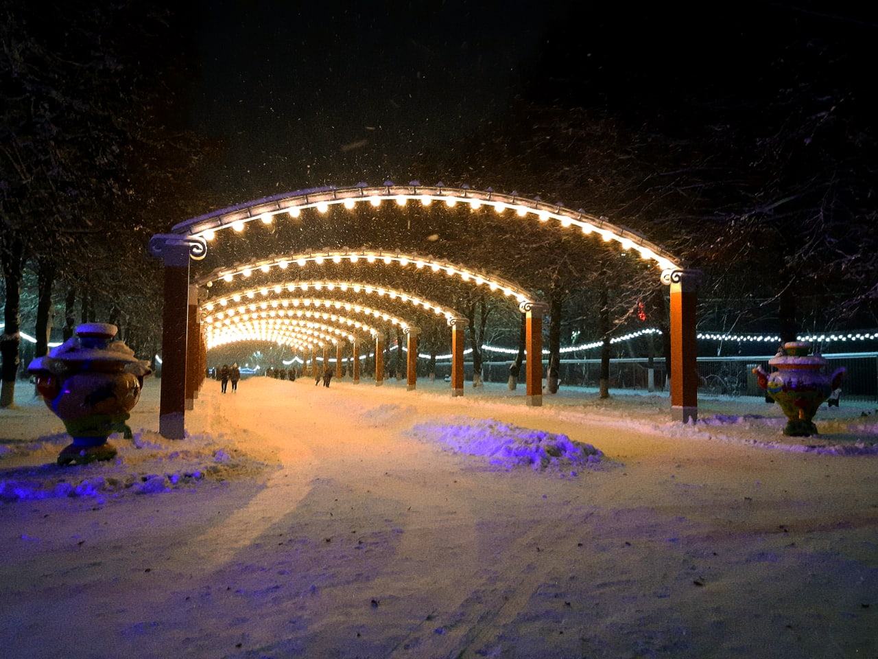 Белоусовский парк в Туле зимой