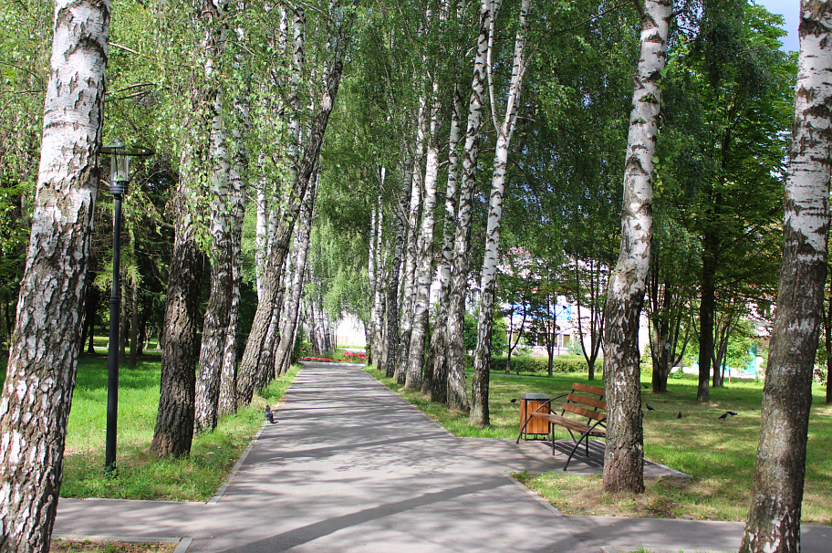 Парк жалка в алексине фото