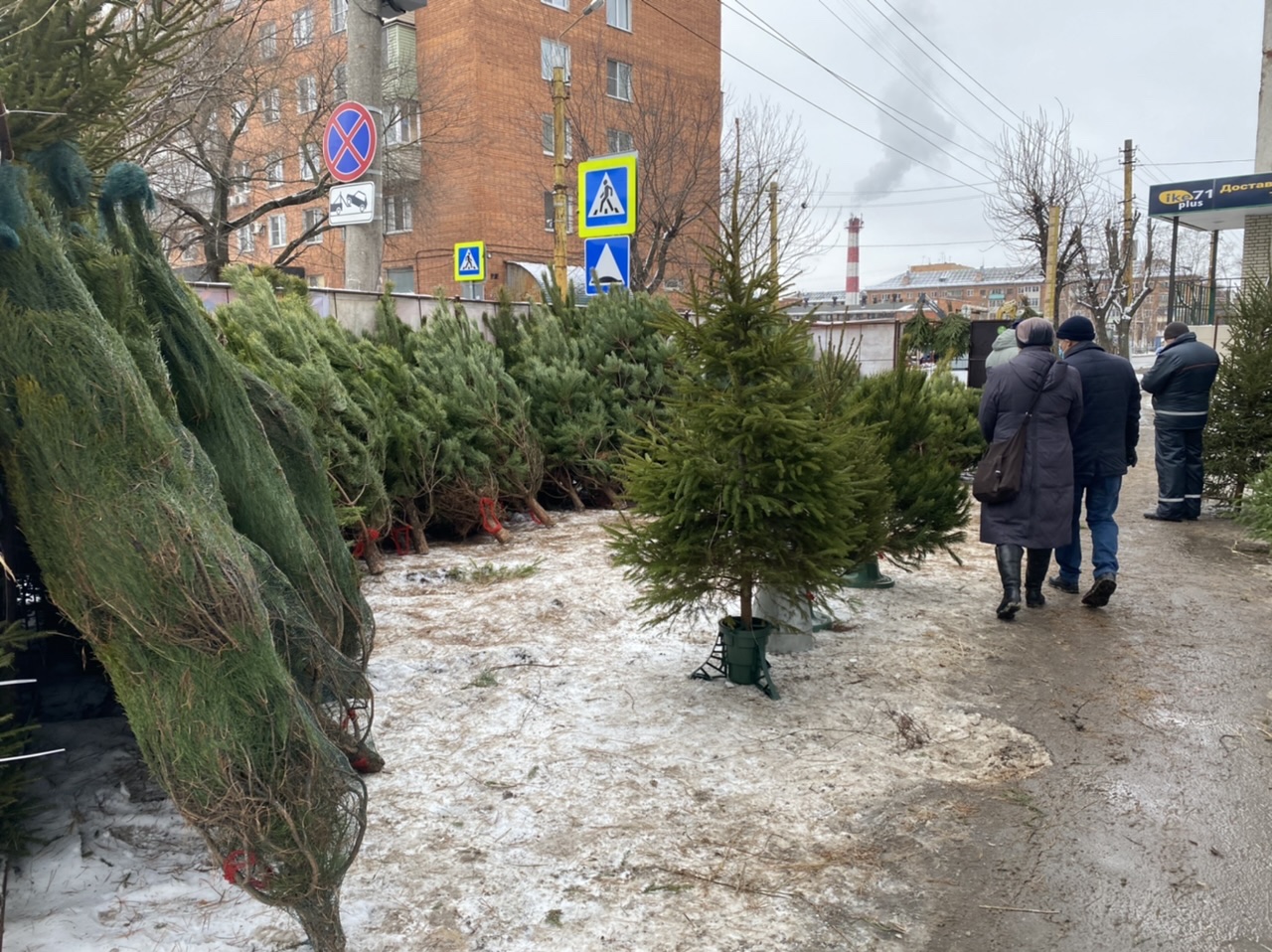 Елочный базар новосибирск. Елочный базар. Елочный базар в России. Елочный базар Тульская. Елочный базар 120000.