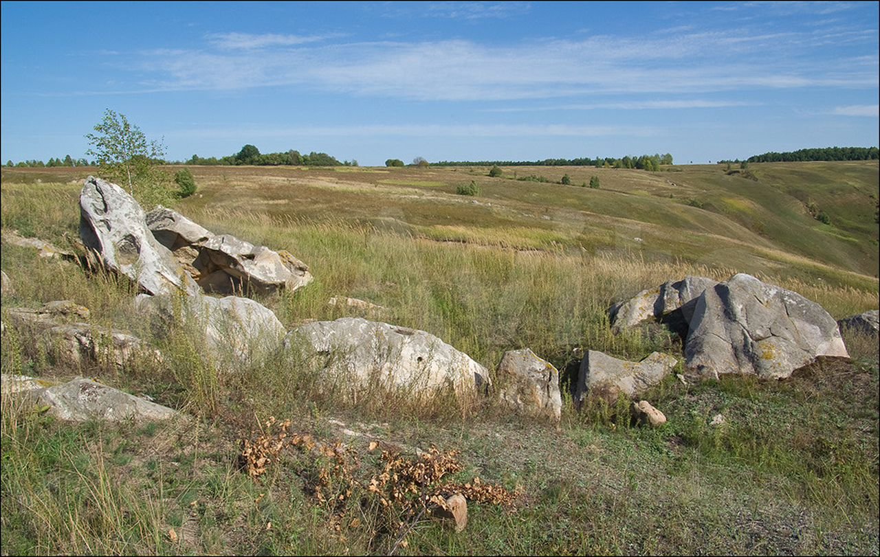 Красногорье тульская область карта