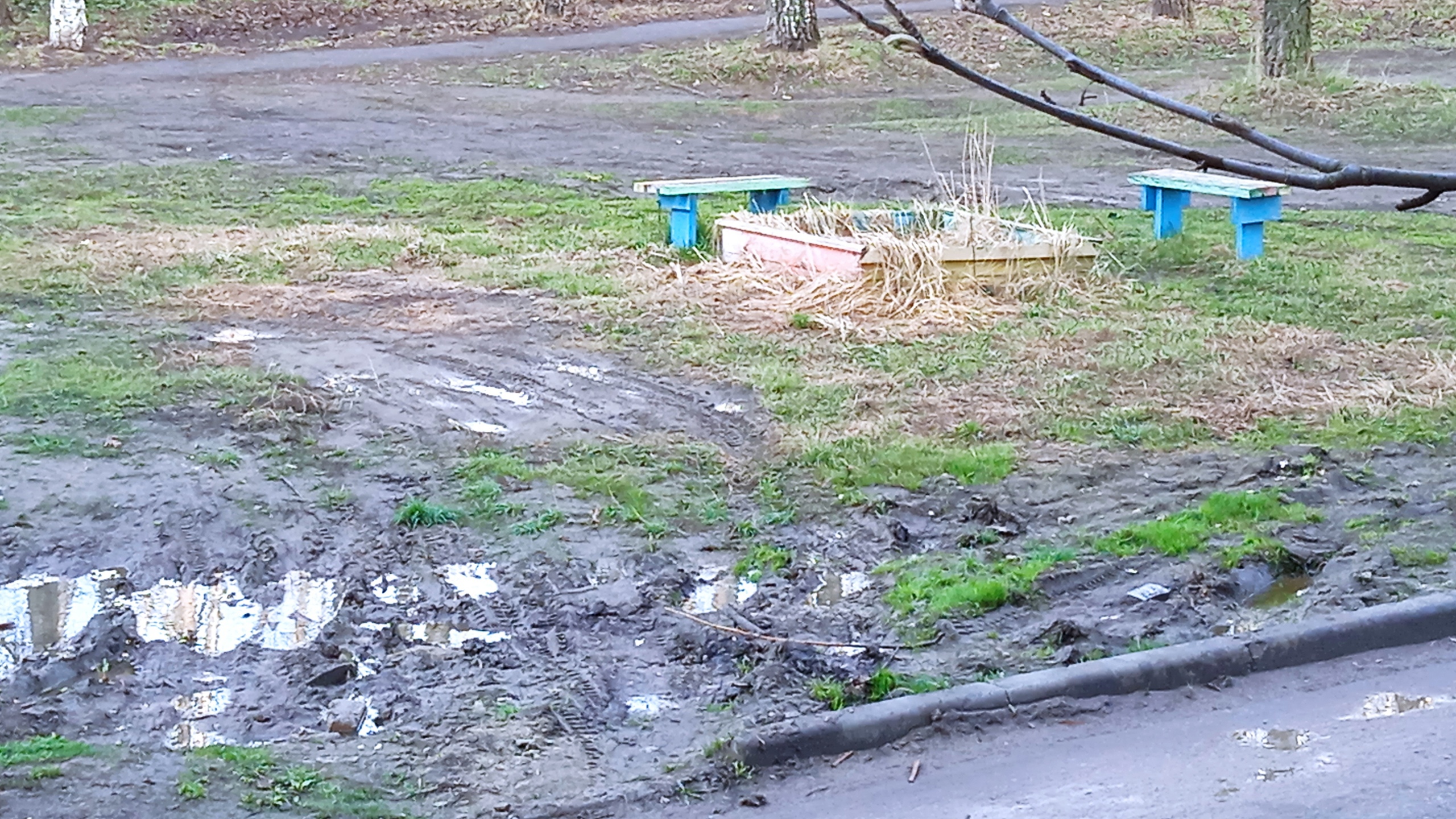 В Алексине водители превратили двор жилого дома в парковку | ИА “Тульская  Пресса”