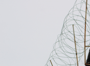 В Тульской области пройдет прямая линия по правам заключенных