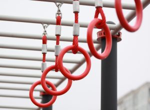 Дубенские школьники прошли испытания по выполнению комплекса ГТО