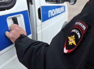 Житель Алексина напал на двух полицейских при задержании