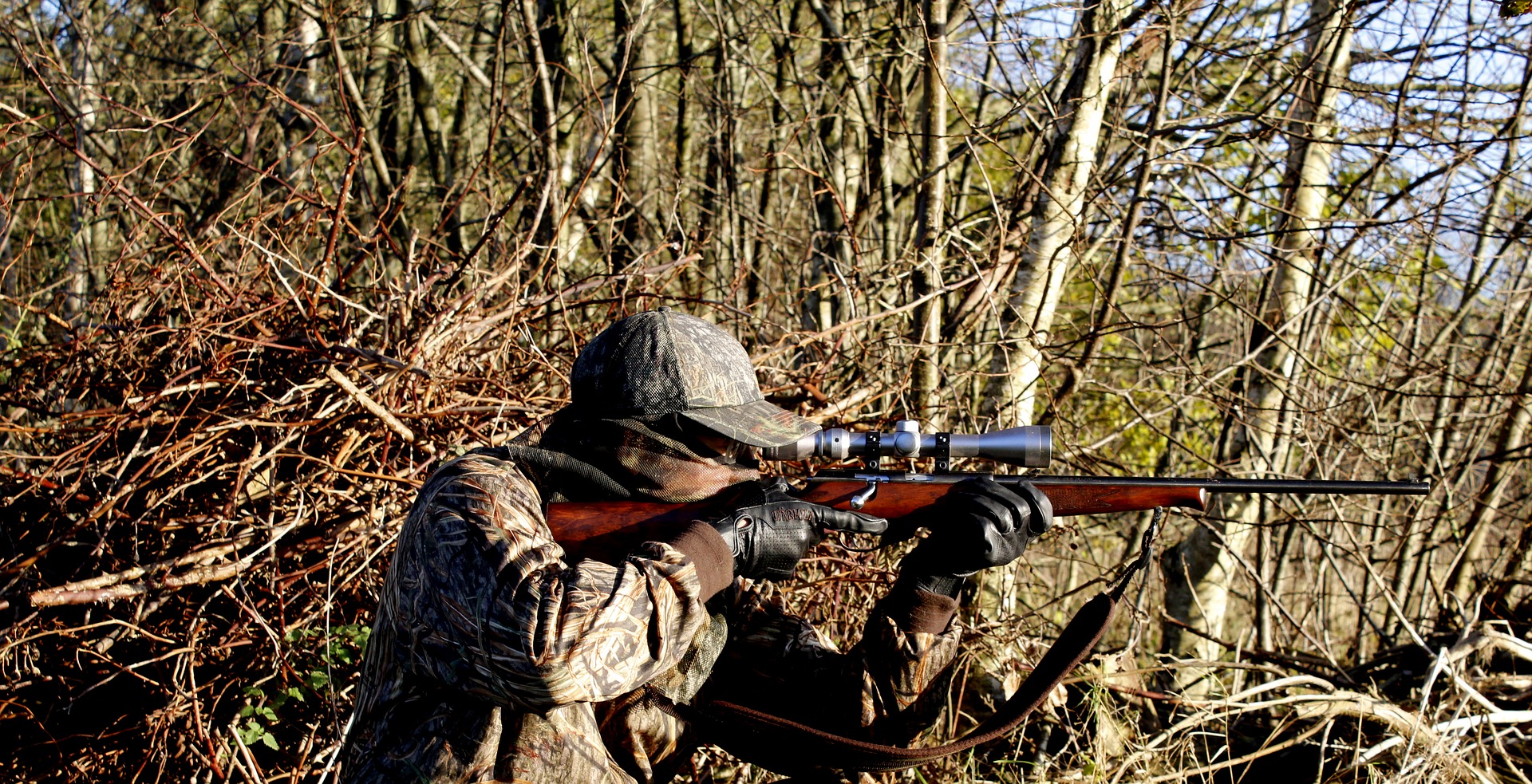 Тулякам с 1 сентября придется сдавать экзамены, чтобы получить охотничий билет