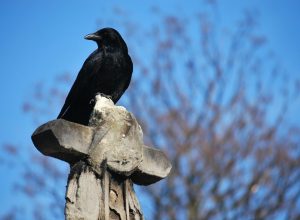 В Туле полицейские продавали ритуальным агентам информацию об умерших