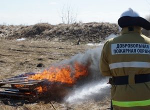 В Туле спасатели провели учения по тушению ландшафтных пожаров