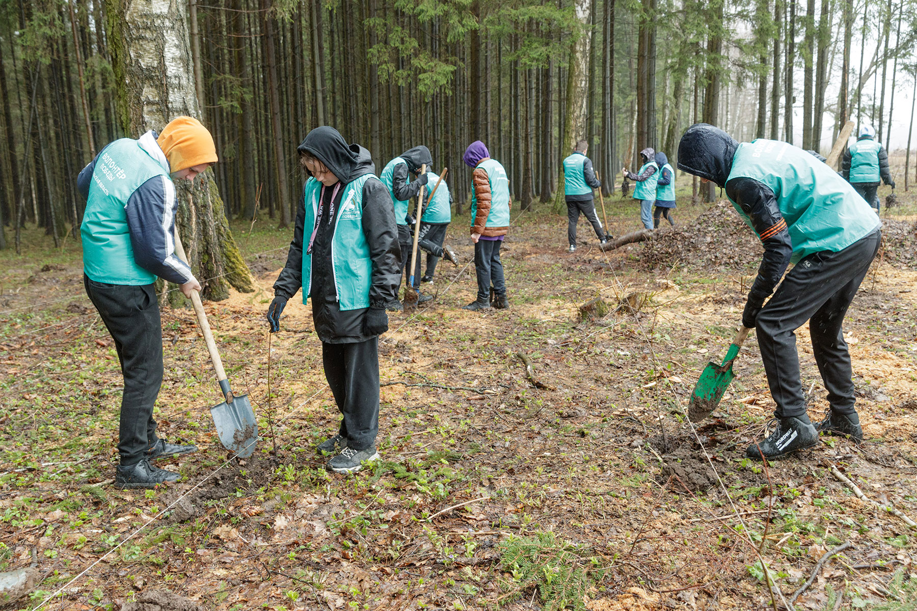 В Тульской области высадили пятимиллионное дерево в рамках акции «Сад памяти»